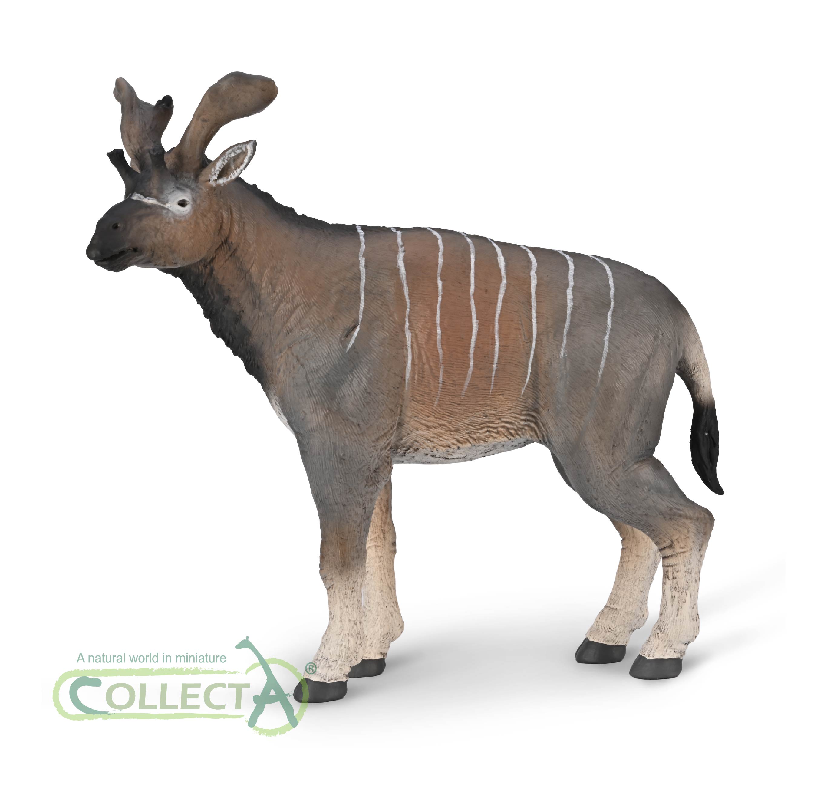 Collecta Figurine Arsinoitherium – Réplique Préhistorique Peinte à La Main, échelle 1:20, Détaillée Et éducative, Dès 3 Ans