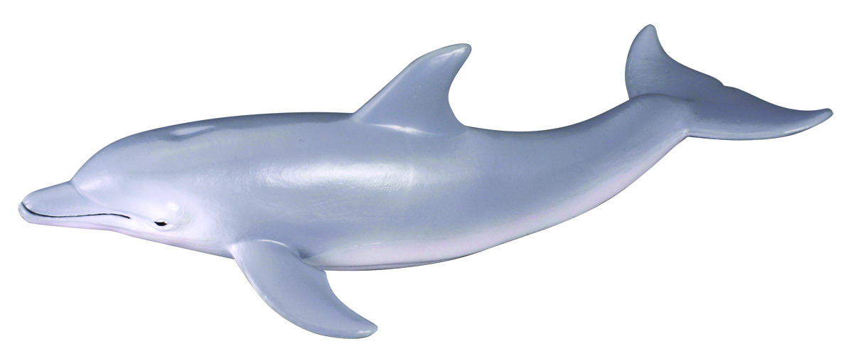 CollectA PACIFIC WHITE-SIDE DOLPHIN solid plastic toy wild aquatic animal NEW 
