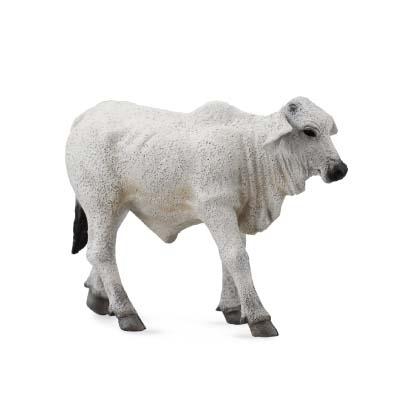 CollectA Farm Life Collection Miniature FigureBrahman Bull 